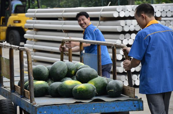 9393体育·(中国)官方网站