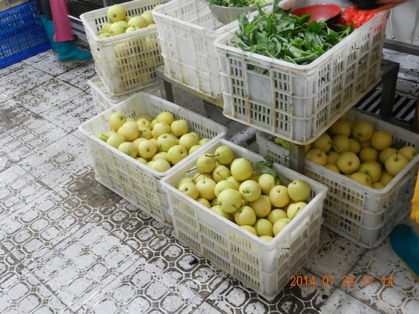 9393体育·(中国)官方网站