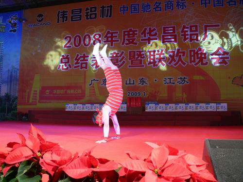 2008年度9393体育铝厂总结表扬暨联欢晚会-伟昌铝材