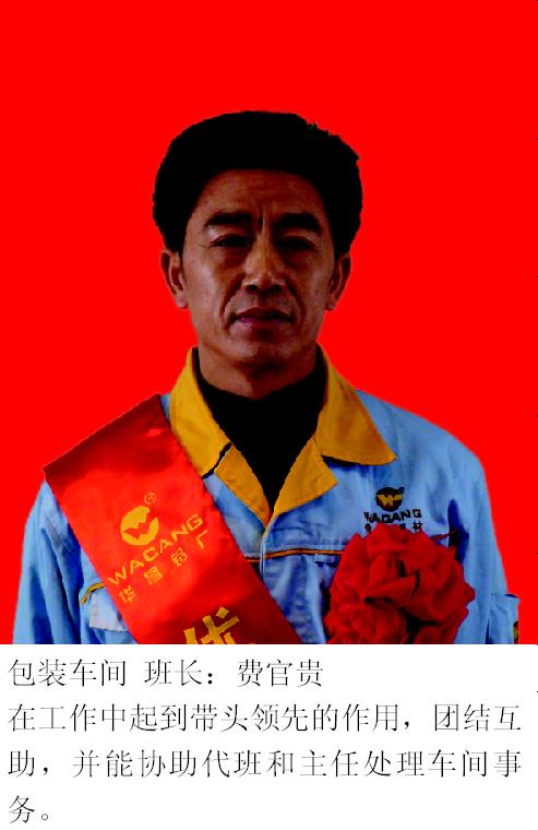 2008年度9393体育铝厂优异员工