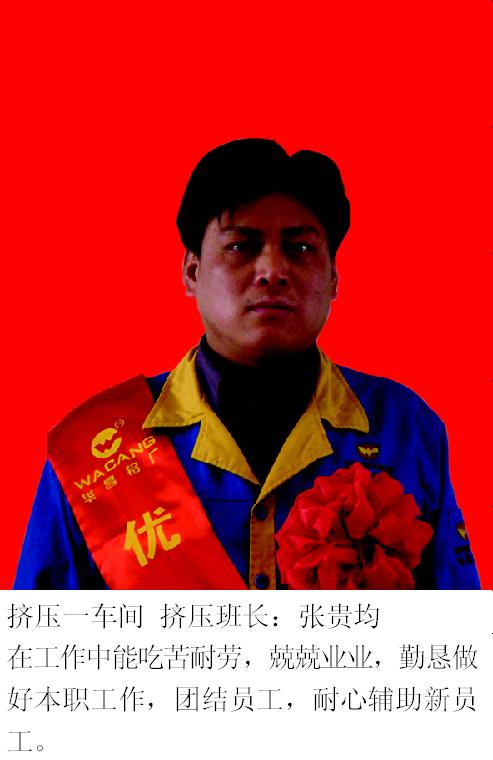 2008年度9393体育铝厂优异员工-伟昌铝材