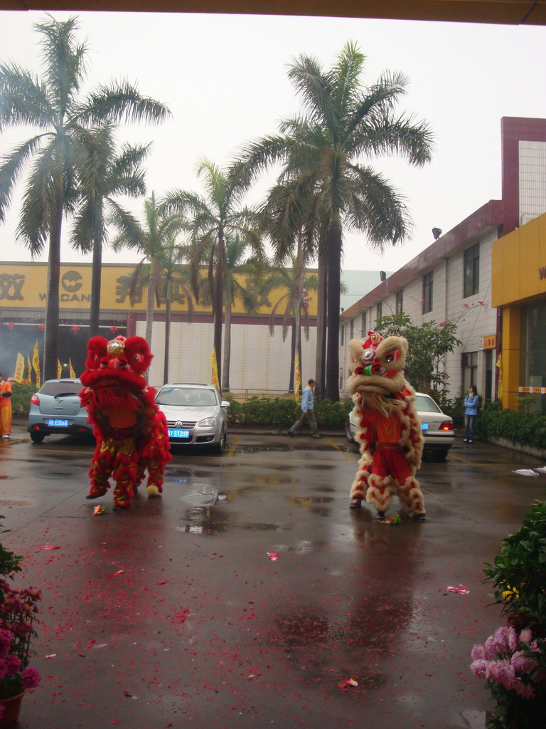 开工醒狮会,纳福扬神威-伟昌铝材