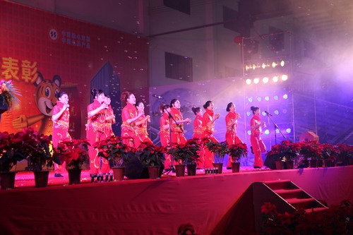 灯火绚烂欢喜会，，龙腾9393体育盛世宴  我公司举行2011年度总结表扬暨联欢晚会-伟昌铝材