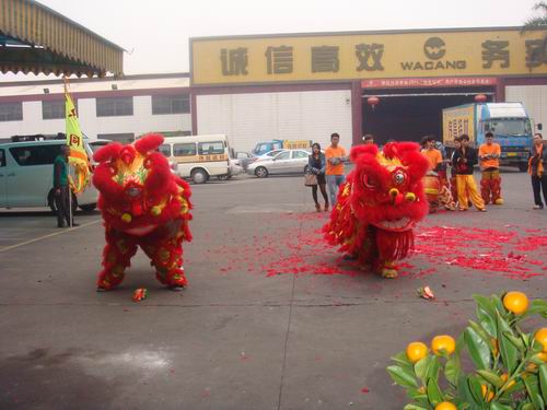 开工大吉   醒狮助兴-伟昌铝材