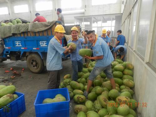 夏日气温节节升，，，，清凉西瓜一再送-伟昌铝材