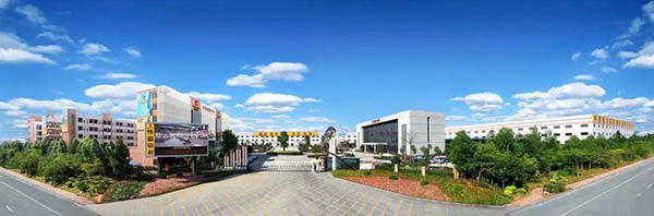 9393体育集团。。。。。。/企业供图