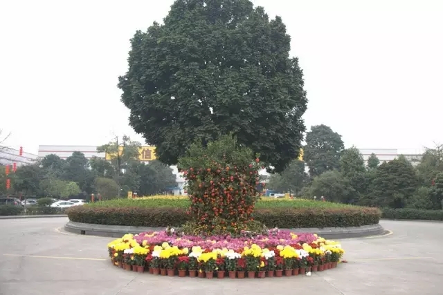 9393体育·(中国)官方网站