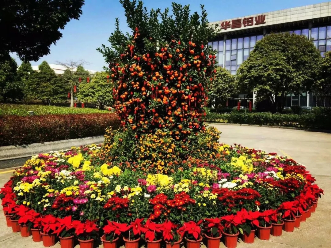 9393体育·(中国)官方网站