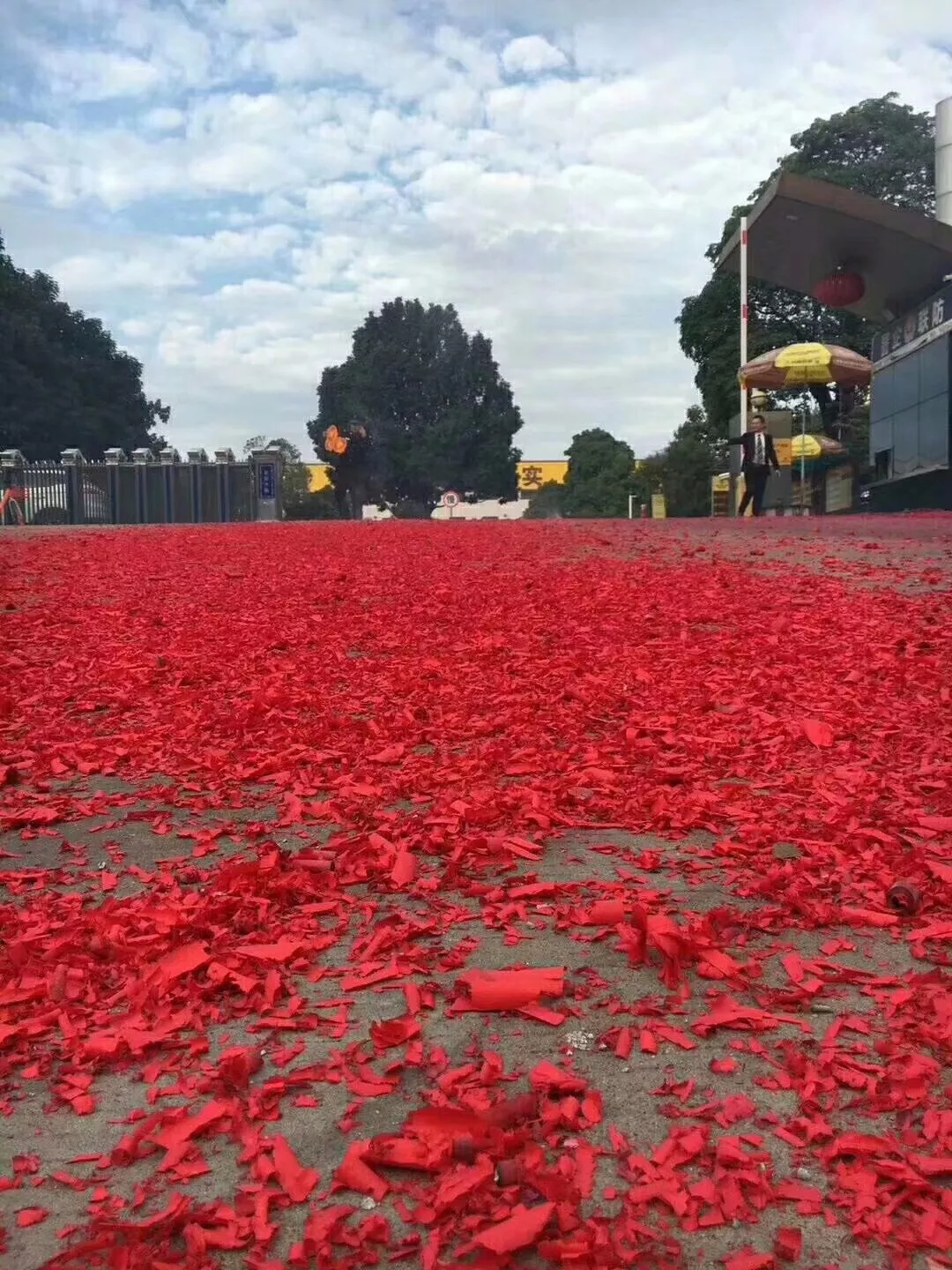 9393体育·(中国)官方网站