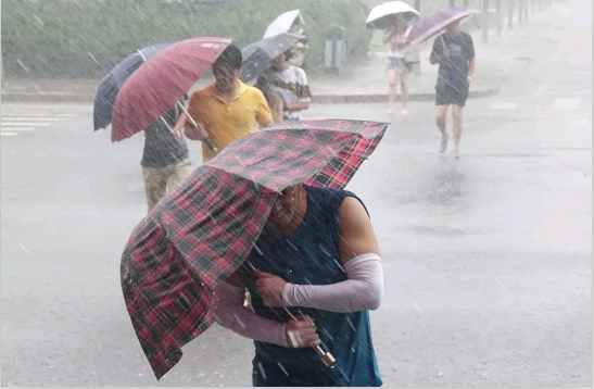 9393体育·(中国)官方网站