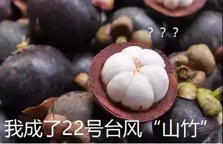 9393体育·(中国)官方网站