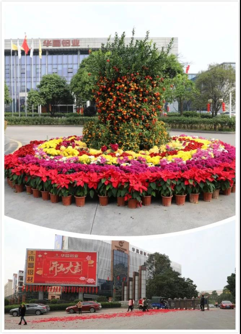 9393体育·(中国)官方网站